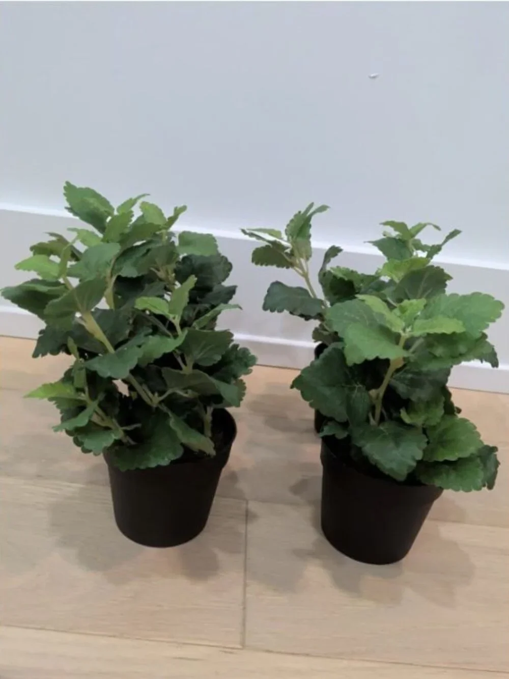 SET LOT OF 4 IKEA FEJKA Artificial Faux Fake Potted Plants Herb 302.341.68